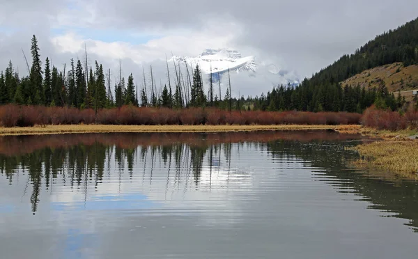 Beyaz dağ arkasında ağaçlar - Vermilion Gölü, Banff National Park, Alberta, Kanada