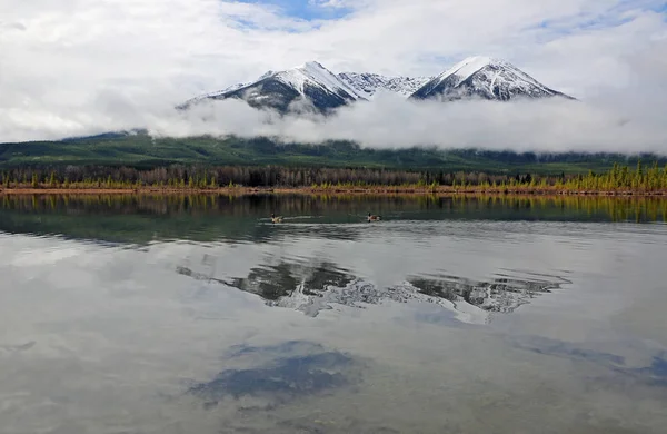 Sundance tepe yansıma - Vermilion Gölü, Banff National Park, Alberta, Kanada