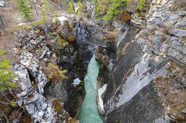 Uçuruma mermer Kanyon - Kootenay Milli Parkı, British Columbia, Kanada
