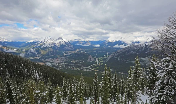 View Bow River Valley Banff National Park Alberta Canada — Stock Photo, Image