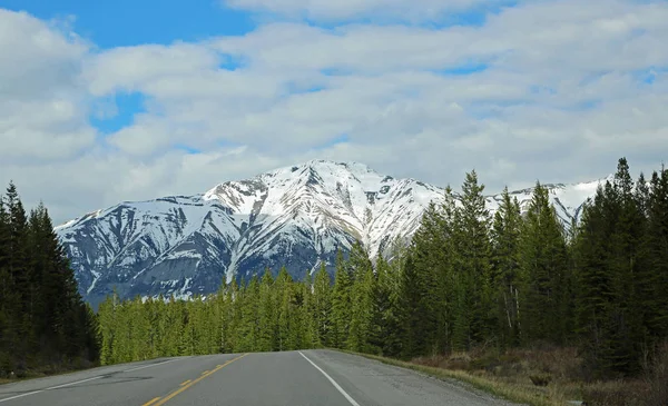 Camino Través Del Bosque Parque Nacional Kootenay Columbia Británica Canadá — Foto de Stock