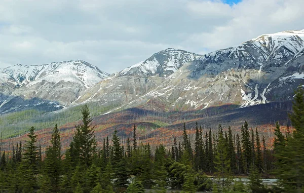 Égett Hills Kootenay Völgy Kootenay Nemzeti Park British Columbia Kanada — Stock Fotó