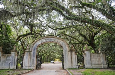 Wormsloe ekimi - Savannah, Georgia girme