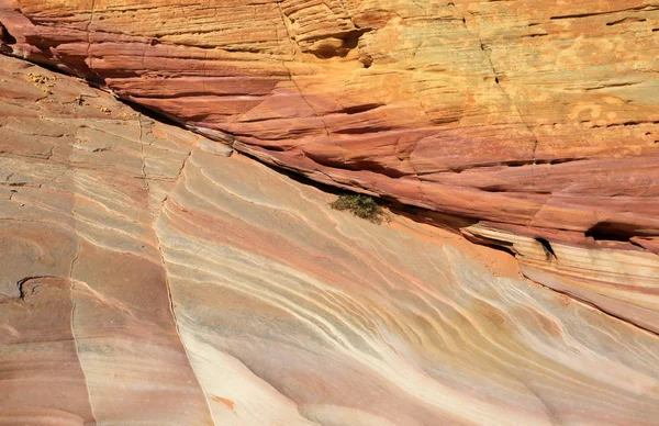 Текстура Песчаника Pink Canyon Valley Fire State Park Nevada — стоковое фото