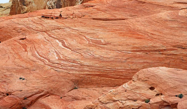 Kırmızı Yüzey Kaya Vadisi Yangın State Park Nevada — Stok fotoğraf