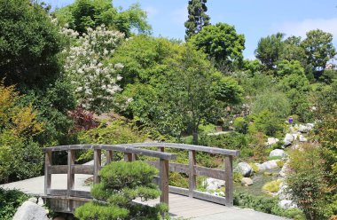 Japon bahçe - San Diego, Kaliforniya, Balboa Park ahşap köprü