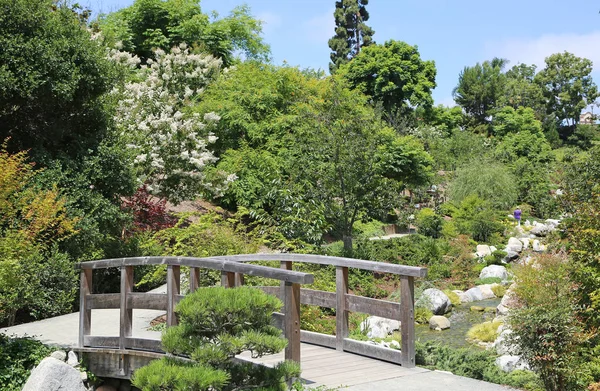 Träbro Japanska Trädgården San Diego Kalifornien Balboa Park — Stockfoto