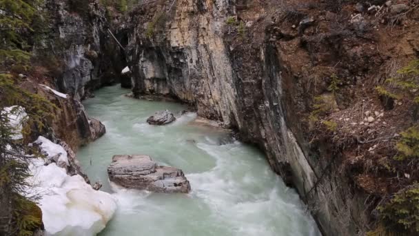 Mermer Kanyon Kootenay Milli Parkı British Columbia Kanada — Stok video