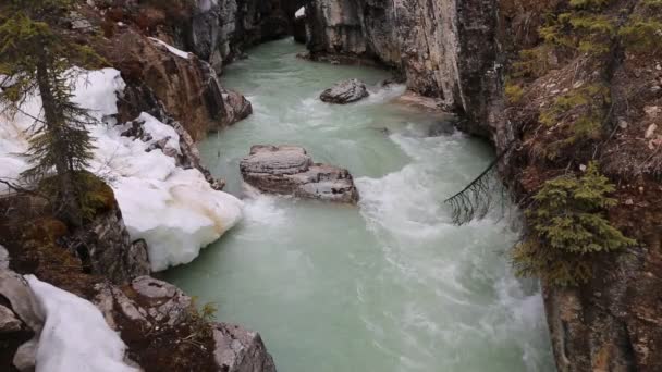 Tokumm Creek Cañón Del Mármol Parque Nacional Kootenay Columbia Británica — Vídeos de Stock