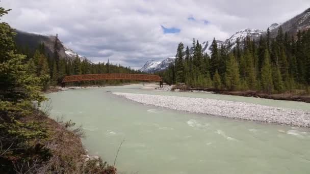 Panorama Vermilion River Národní Park Kootenay Britská Kolumbie Kanada — Stock video