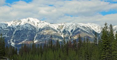 Zirve ve orman - Kootenay Milli Parkı, British Columbia, Kanada