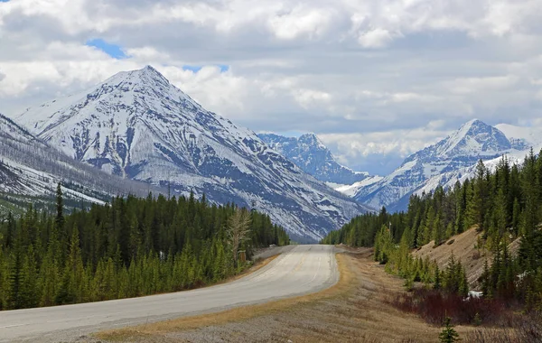 Cesta Vermilion Pass Národní Park Kootenay Britská Kolumbie Kanada — Stock fotografie