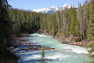 At nehir - Yoho Milli Parkı, British Columbia, Kanada tekme ile peyzaj