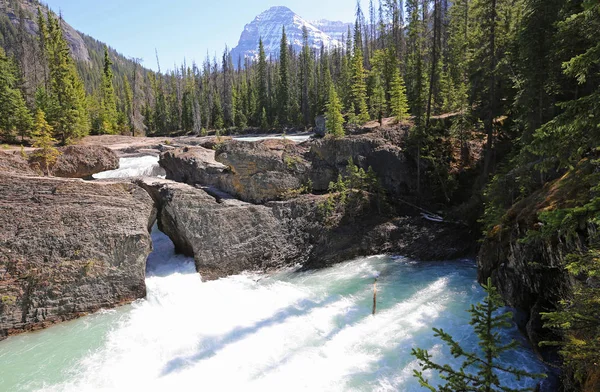 Widok Natural Bridge Park Narodowy Yoho British Columbia Kanada — Zdjęcie stockowe