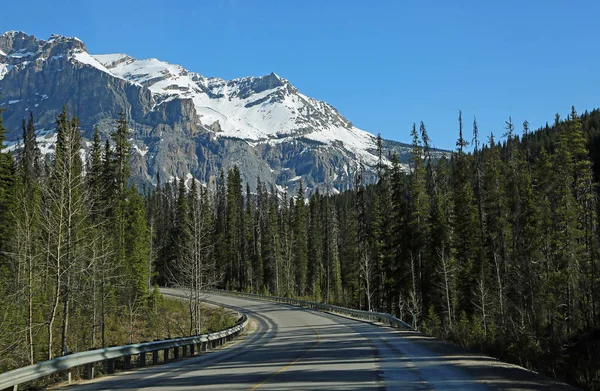 Emerald Gölü Yoho Milli Parkı British Columbia Kanada Için Yol — Stok fotoğraf