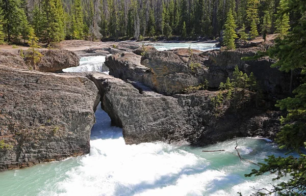 Skały Natural Bridge Park Narodowy Yoho British Columbia Kanada — Zdjęcie stockowe