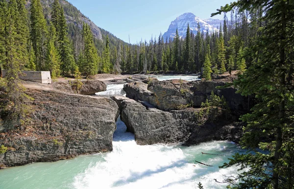 Táj Natural Bridge Yoho Nemzeti Park British Columbia Kanada — Stock Fotó