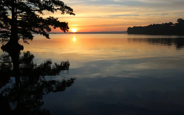 Wschód Słońca Cyprys Lotniska Reelfoot Lake State Park Stanie Tennessee — Zdjęcie stockowe