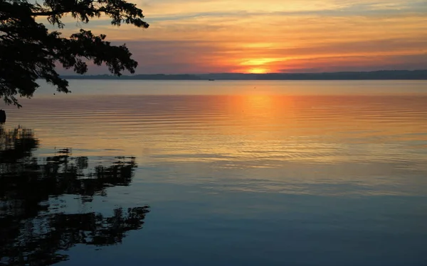 Alba Sul Lago Reelfoot Reelfoot Lake State Park Tennessee — Foto Stock