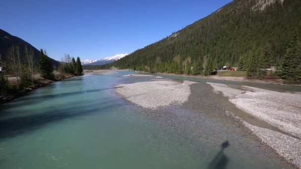 Kicking Horse River Valley Field Yoho National Park British Columbia — Stock Video