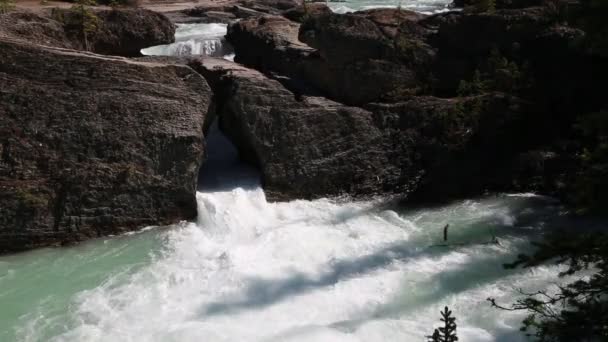 Natural Bridge Yoho National Park Columbia Britannica Canada — Video Stock