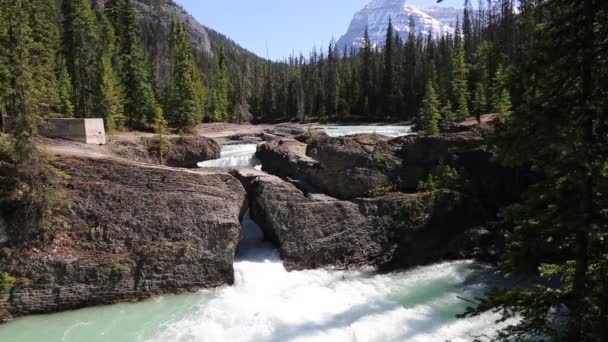 Doğal Köprü Yoho Milli Parkı British Columbia Kanada Yatay — Stok video