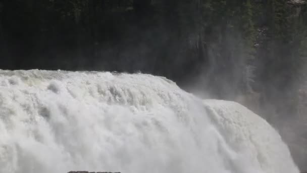 Klippan Med Wapta Falls Yoho Nationalpark British Columbia Kanada — Stockvideo