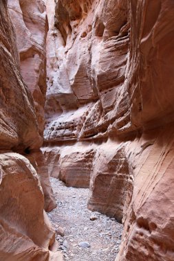 Kanyon dikey - Vadisi yangın State Park, Nevada yuvası