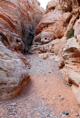 Tırmanma yuvası Kanyon, dikey - Vadisi yangın State park, Nevada