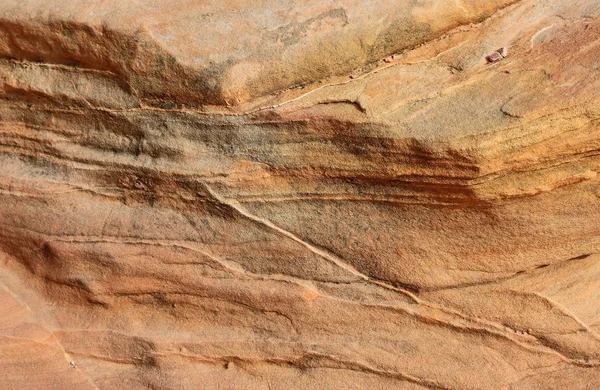 Textura Marrom Arenito Valley Fire State Park Nevada — Fotografia de Stock