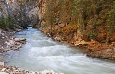 Johnston kanyonda, Banff National Park, Alberta, Kanada akan dere