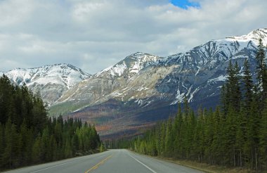 Yanık hill - Kootenay Milli Parkı, British Columbia, Kanada göster