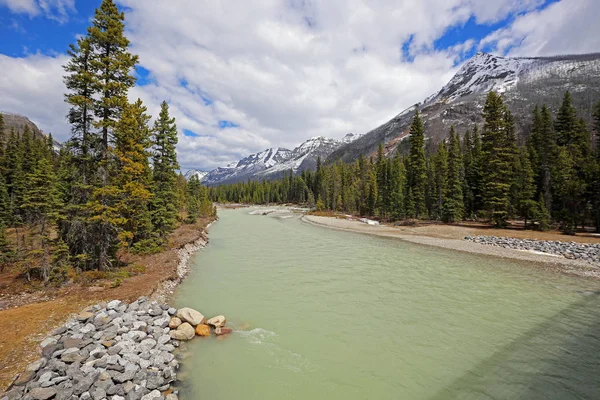 Táj Hídról Kootenay Nemzeti Park British Columbia Kanada — Stock Fotó