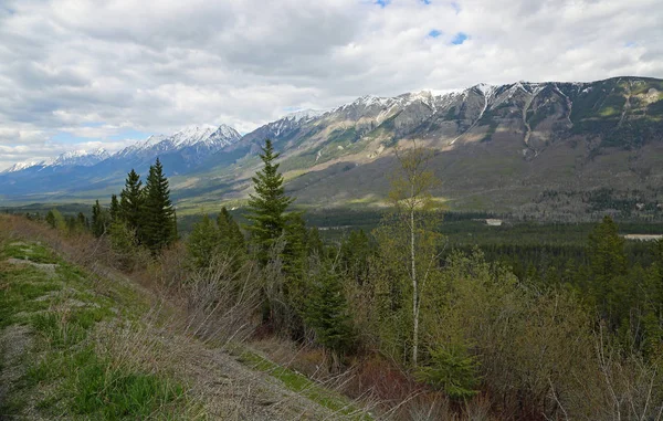 Kootenay Valley Taman Nasional Kootenay British Columbia Kanada — Stok Foto