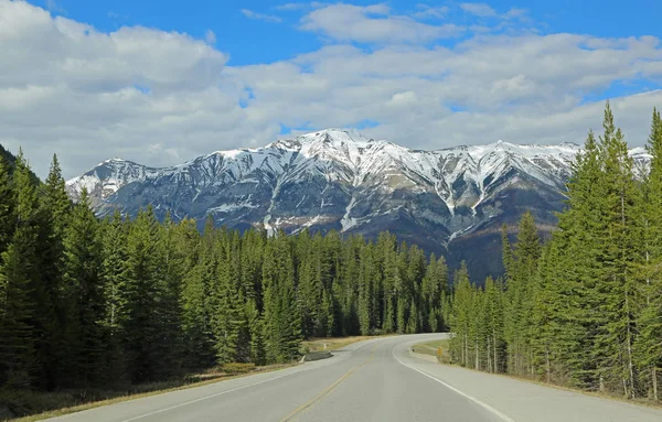 Carretera Parque Nacional Kootenay Columbia Británica Canadá — Foto de Stock