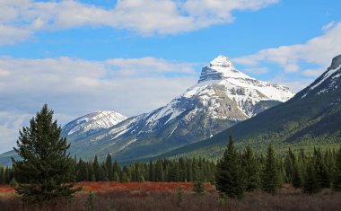 Pilot Mountain-Bow Valley, Banff Ulusal Parkı, Alberta, Kanada 'da görünüm