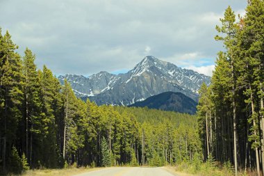 Bow Vadisi Parkway, Banff Ulusal Parkı, Alberta, Kanada