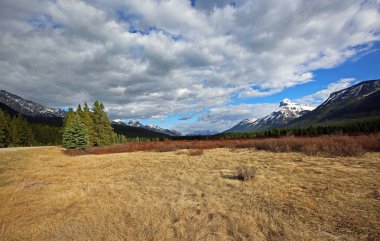 Moose Meadow 'da peyzaj-Bow Vadisi, Banff Ulusal Parkı, Alberta, Kanada