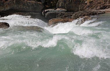 Su yakın kadar - Yoho Milli Parkı, British Columbia, Kanada vurma