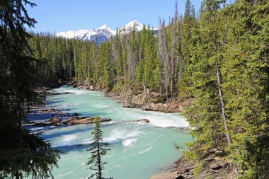 At nehir - Yoho Milli Parkı, British Columbia, Kanada tekme ile peyzaj