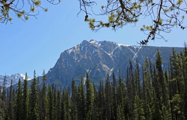 MT Dennis - Yoho Milli Parkı, British Columbia, Kanada