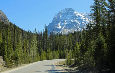 MT Stephen ve yolun - Yoho Milli Parkı, British Columbia, Kanada