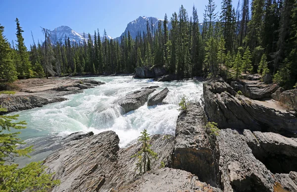 Természetes Híd Yoho Nemzeti Park British Columbia Kanada — Stock Fotó