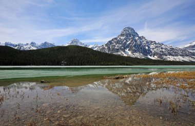 Mount Chephren yansıma-Icefield Parkway, Alberta, Kanada