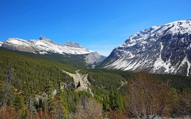 Icefield Parkway ile peyzaj, Alberta, Kanada