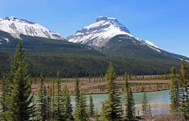 M-Amery-Icefield Parkway, Alberta, Kanada
