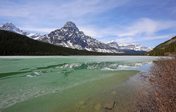 Mrożone Jezioro Ptactwa Wodnego Icefield Parkway Alberta Kanada — Zdjęcie stockowe