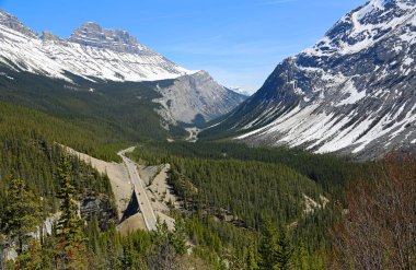 Büyük Bend gözcü görünümü-Icefield Parkway, Alberta, Kanada