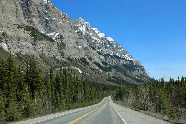 加拿大艾伯塔省的悬崖和冰原公园 — 图库照片
