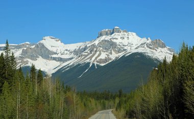 Dağlar ve Icefield Parkway, Alberta, Kanada